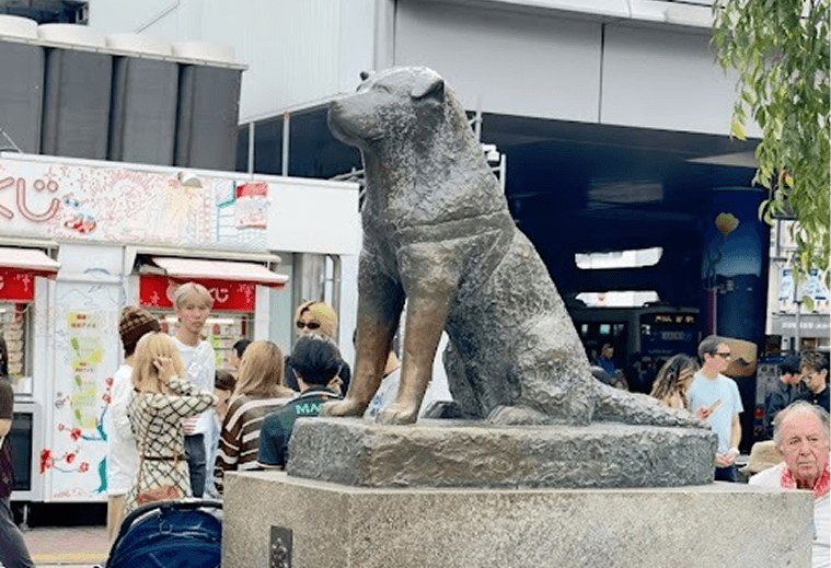 Estátua do cão Hachiko em Shibuya, Tóquio